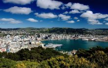 New Zealand Language Centres-威靈頓分校